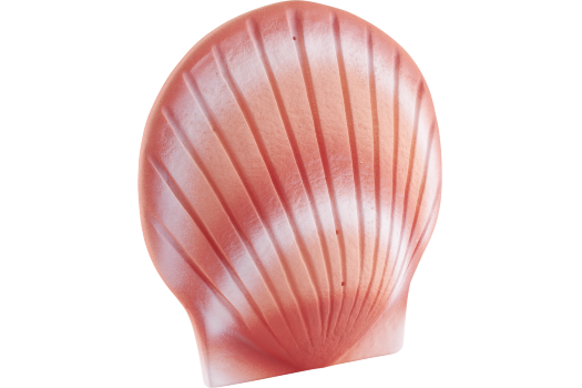 Shell 