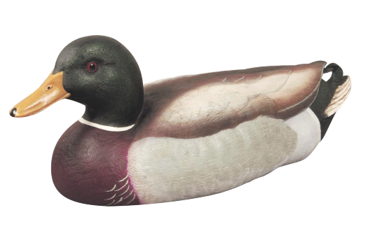Mallard Decoy 